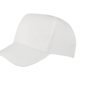 BOSTON PRINTERS CAP